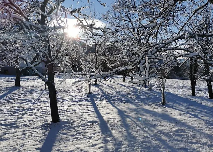 Tommarlhof Farmház Söll