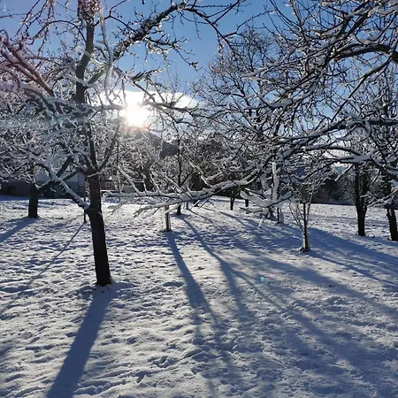 Tommarlhof Alloggio per agriturismo Söll
